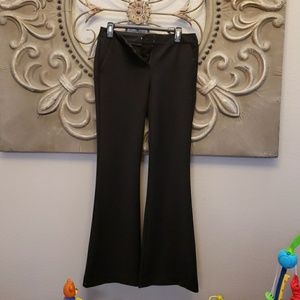 Express flared dress pant